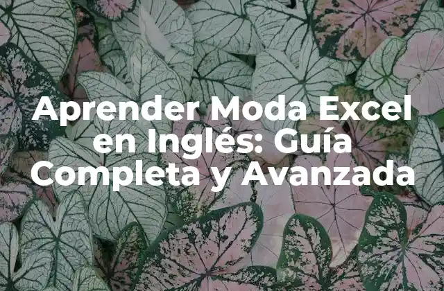 Aprender Moda Excel en Inglés: Guía Completa y Avanzada