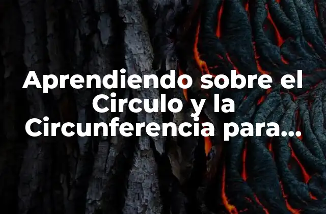 Aprendiendo sobre el Circulo y la Circunferencia para Niños de Primaria