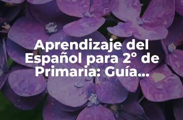 Aprendizaje Del Español para 2º de Primaria: Guía Completa 2 Desarrollo de Habilidades Lingüísticas en 2º de Primaria
