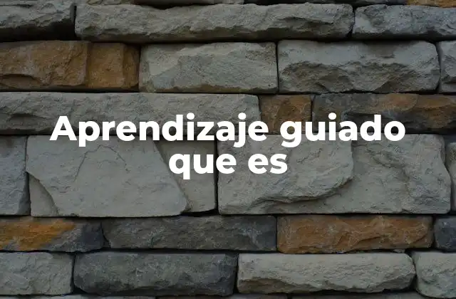 Aprendizaje Guiado que es