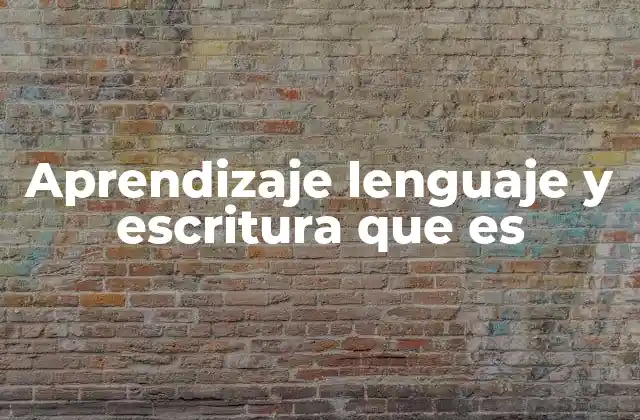 Aprendizaje Lenguaje y Escritura que es