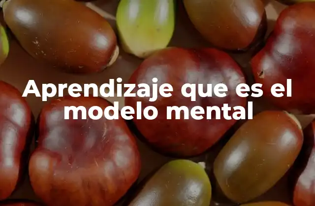 Aprendizaje que es el Modelo Mental