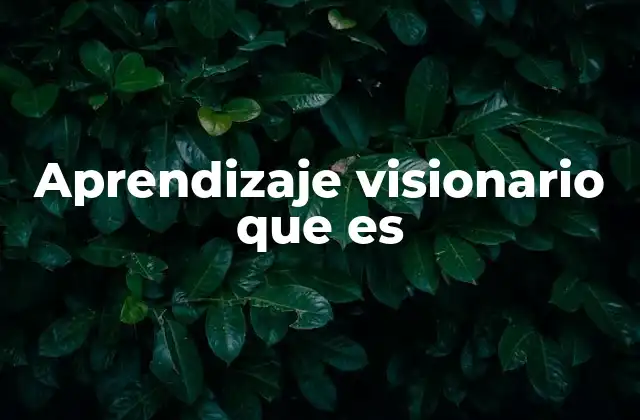Aprendizaje Visionario que es