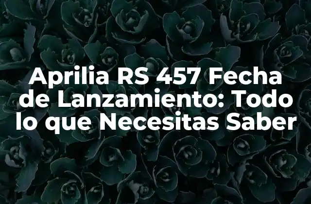 Aprilia Rs 457 Fecha de Lanzamiento: Todo Lo que Necesitas Saber