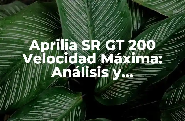 Aprilia Sr Gt 200 Velocidad Máxima: Análisis y Características