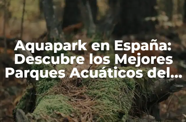 Aquapark en España: Descubre los Mejores Parques Acuáticos Del País