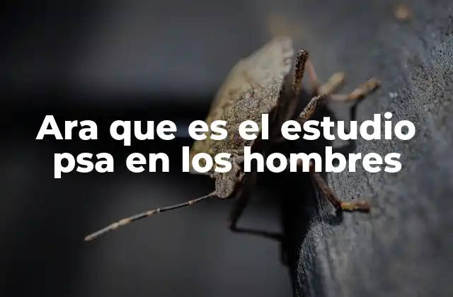 El papel del PSA en la salud masculina