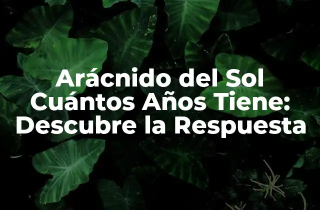 Arácnido Del Sol Cuántos Años Tiene: Descubre la Respuesta