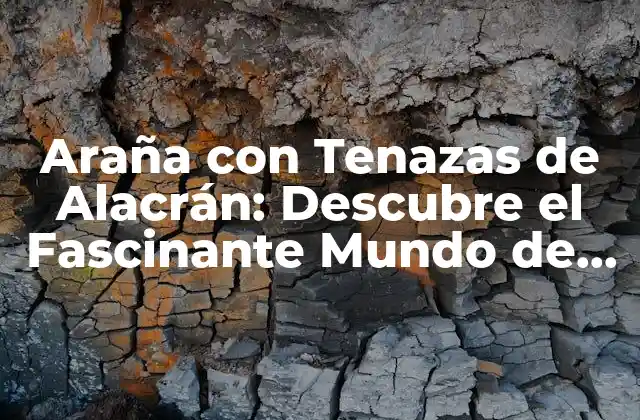 Araña con Tenazas de Alacrán: Descubre el Fascinante Mundo de Estos Arácnidos