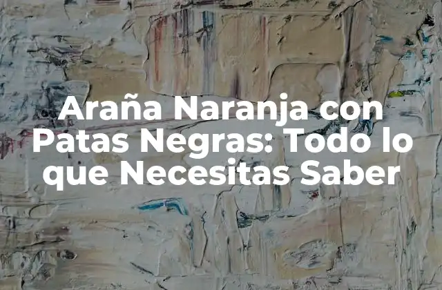 Araña Naranja con Patas Negras: Todo Lo que Necesitas Saber