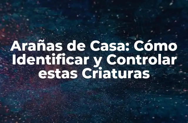 Arañas de Casa: Cómo Identificar y Controlar Estas Criaturas