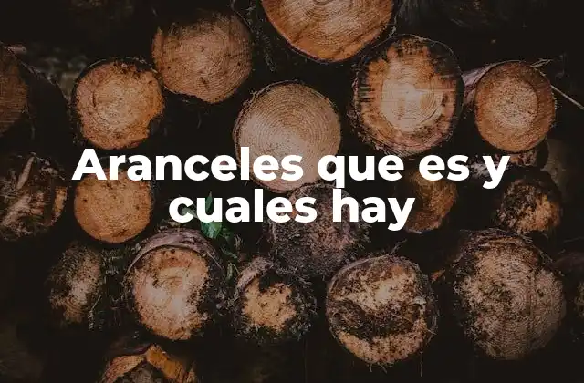 Aranceles que es y Cuales Hay