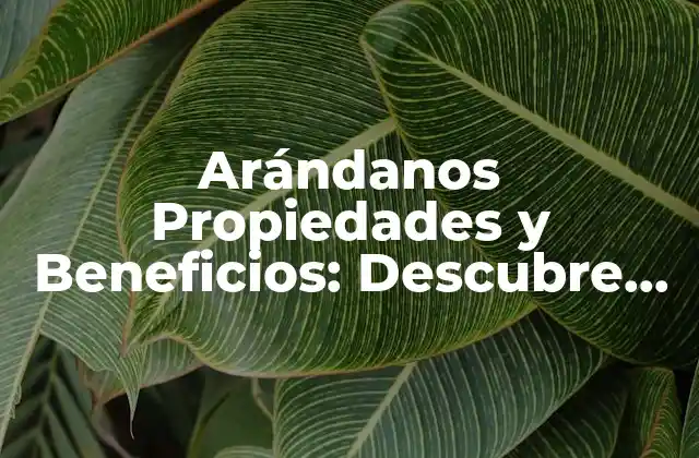 Arándanos Propiedades y Beneficios: Descubre los Poderosos Efectos de Esta Fruta
