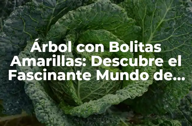 Árbol con Bolitas Amarillas: Descubre el Fascinante Mundo de la Naturaleza