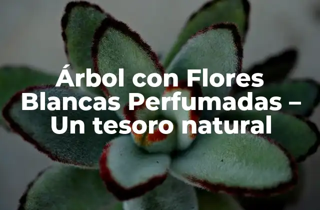 Árbol con Flores Blancas Perfumadas – un Tesoro Natural