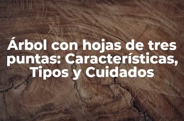 Árbol con Hojas de Tres Puntas: Características, Tipos y Cuidados