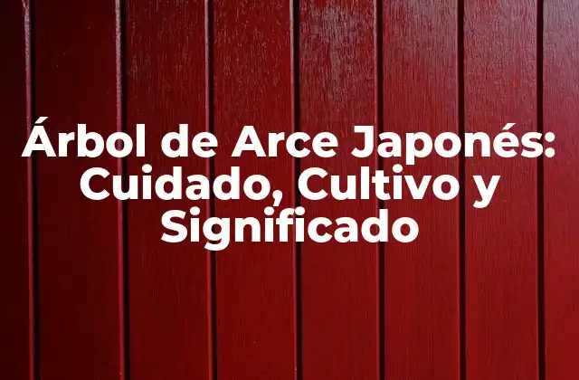 Árbol de Arce Japonés: Cuidado, Cultivo y Significado