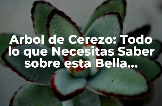 Arbol de Cerezo: Todo Lo que Necesitas Saber sobre Esta Bella Especie