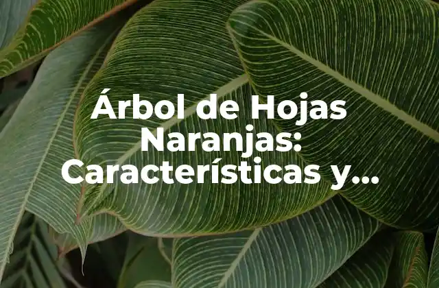 Árbol de Hojas Naranjas: Características y Cuidados