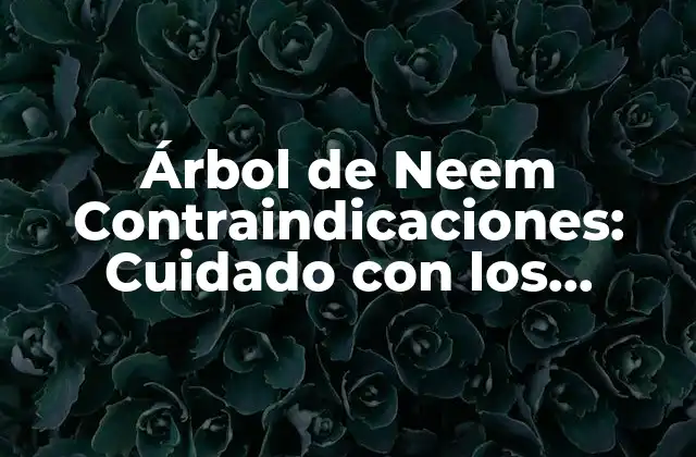 ¿Cuáles son los Efectos Secundarios del Árbol de Neem?