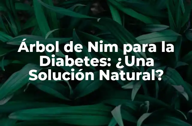 Árbol de Nim para la Diabetes: ¿una Solución Natural?