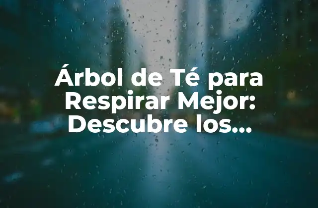 Árbol de Té para Respirar Mejor: Descubre los Beneficios Del Árbol de Té para Tu Salud Respiratoria