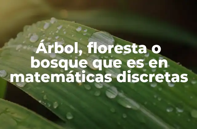 Árbol, Floresta o Bosque que es en Matemáticas Discretas