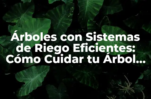 Árboles con Sistemas de Riego Eficientes: Cómo Cuidar Tu Árbol con Tecnología