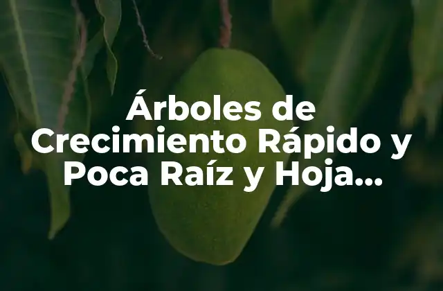 Árboles de Crecimiento Rápido y Poca Raíz y Hoja Perenne: Guía Completa