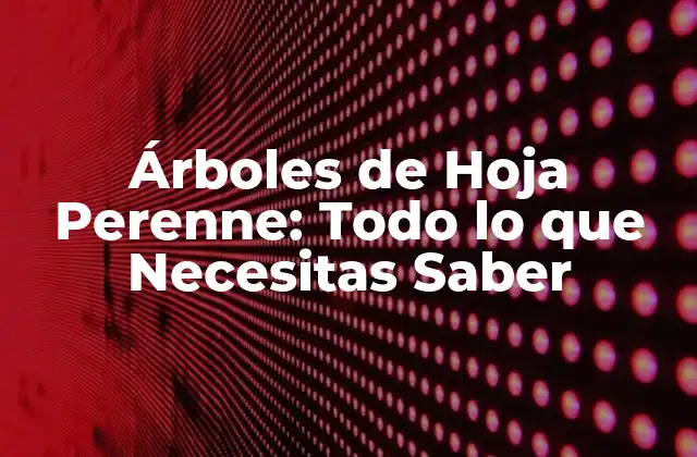 Árboles de Hoja Perenne: Todo Lo que Necesitas Saber