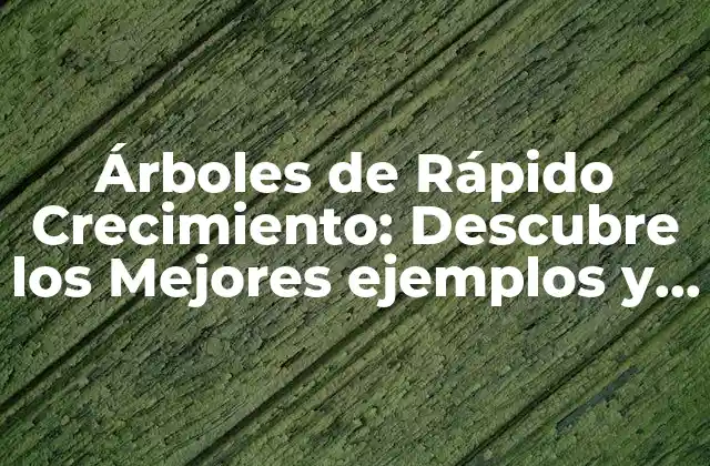 Árboles de Rápido Crecimiento: Descubre los Mejores Ejemplos y Cómo Cuidarlos