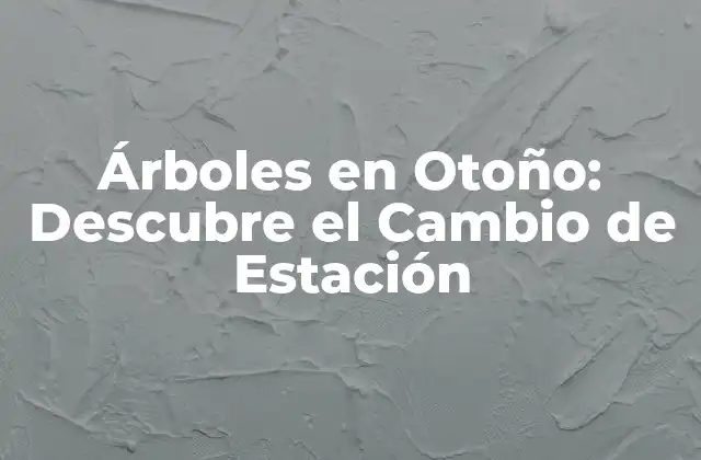 Árboles en Otoño: Descubre el Cambio de Estación