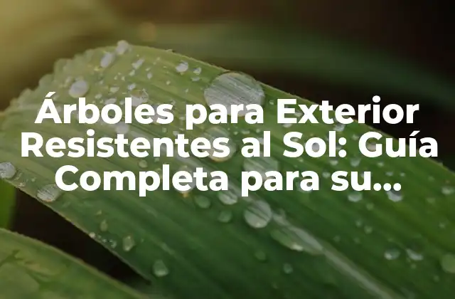 Árboles para Exterior Resistentes Al Sol: Guía Completa para Su Selección