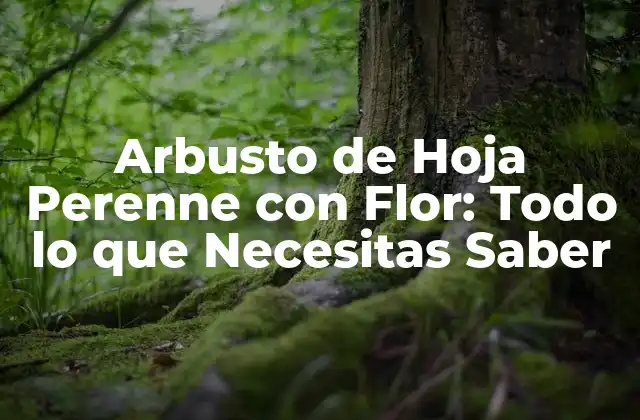 Arbusto de Hoja Perenne con Flor: Todo Lo que Necesitas Saber 2 Características de los Arbustos de Hoja Perenne con Flor