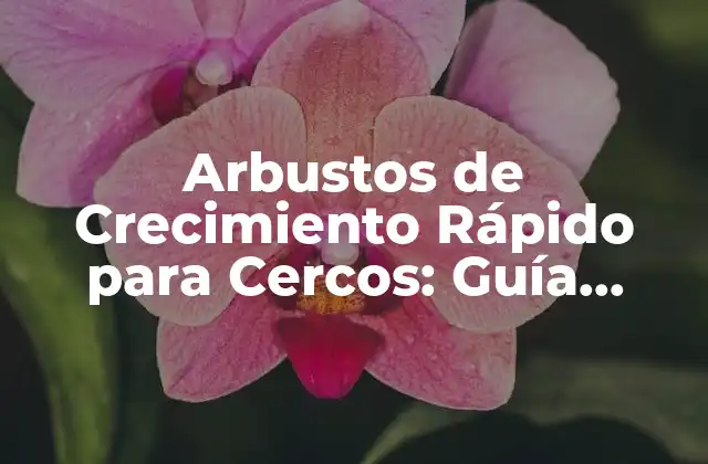 Beneficios de los Arbustos de Crecimiento Rápido para Cercos