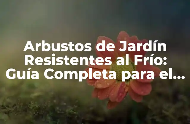 Arbustos de Jardín Resistentes Al Frío: Guía Completa para el Diseño de un Jardín Invierno