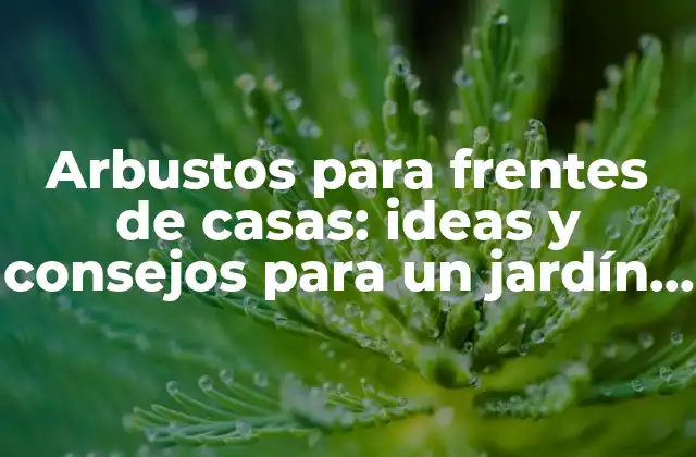 Arbustos para Frentes de Casas: Ideas y Consejos para un Jardín Perfecto