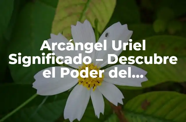 Arcángel Uriel Significado – Descubre el Poder Del Conocimiento Divino