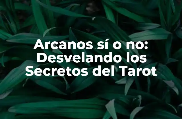Arcanos Sí o No: Desvelando los Secretos Del Tarot