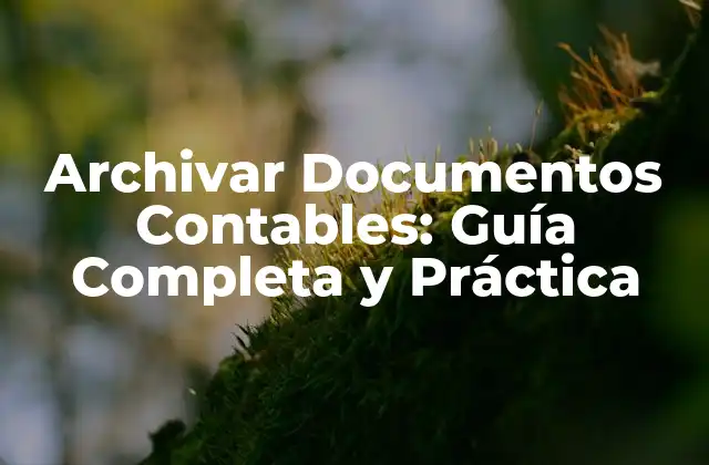 Archivar Documentos Contables: Guía Completa y Práctica 2 ¿Qué son los Documentos Contables y por qué son Importantes?
