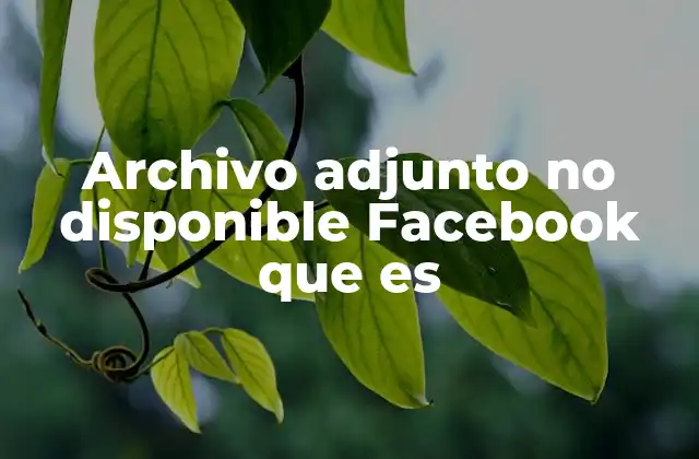Archivo Adjunto No Disponible Facebook que es