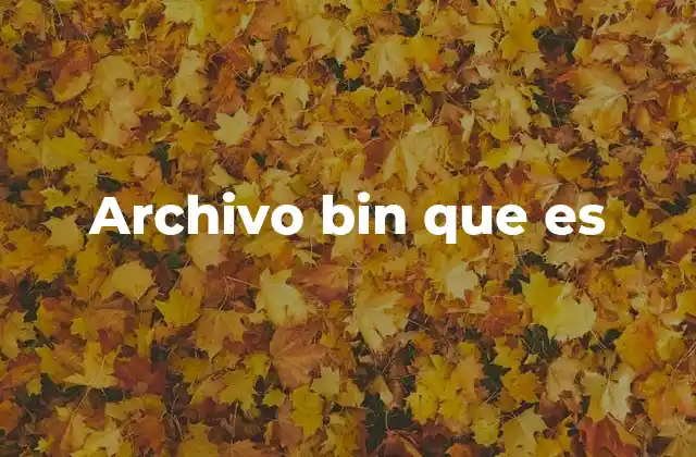 Tipos de archivos binarios y su importancia