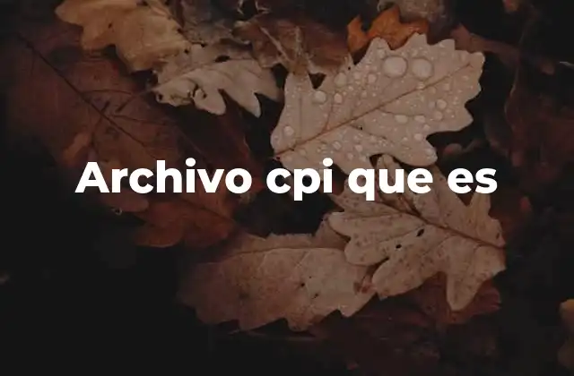 Archivo Cpi que es