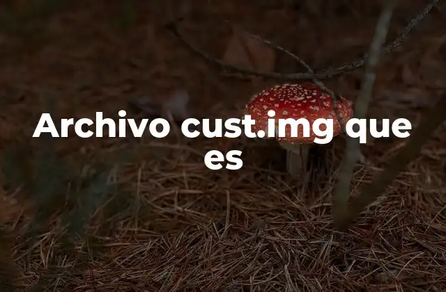 Archivo Cust.img que es