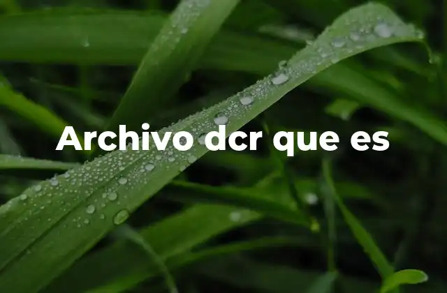 Archivo Dcr que es