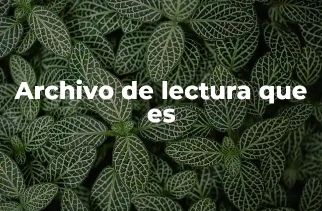 Archivo de Lectura que es