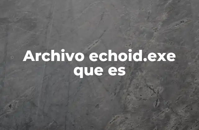 Archivo Echoid.exe que es