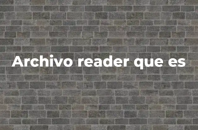 Archivo Reader que es