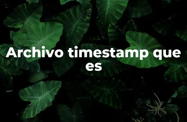 Archivo Timestamp que es