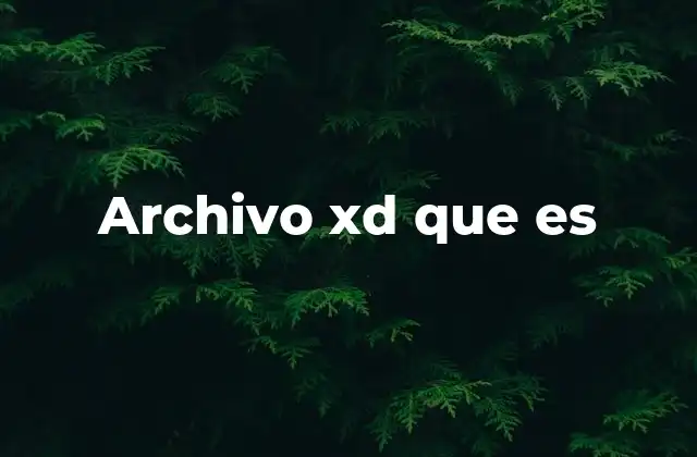 Archivo Xd que es